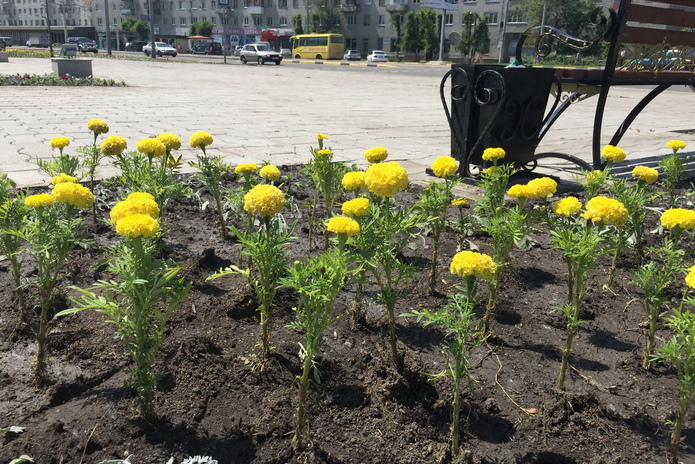 Загадочное место